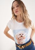 T-Shirt Siri &ldquo;Wear Love&rdquo; in Cotton with Dog Print BIANCO WHITE Woman image number 1