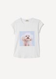 T-Shirt Siri &ldquo;Wear Love&rdquo; in Cotton with Dog Print BIANCO WHITE Woman image number 4